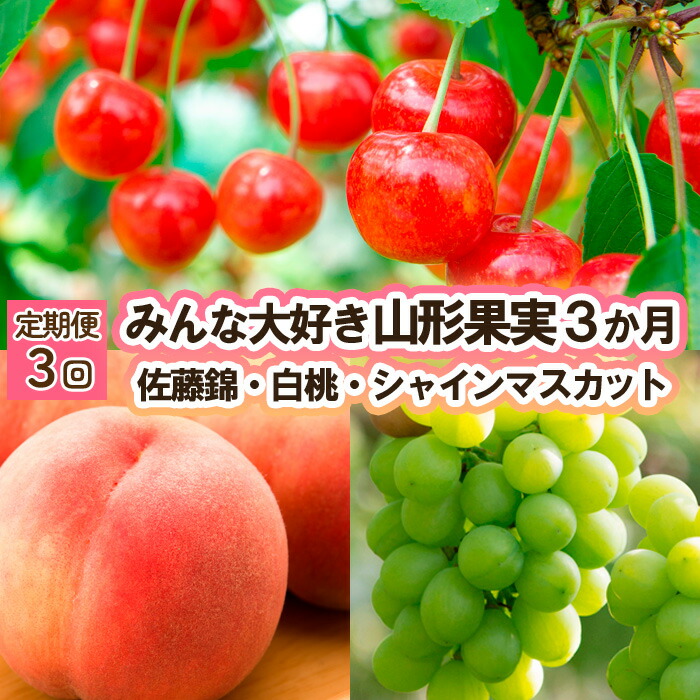 【ふるさと納税】【定期便3回】みんな大好き山形果実 (佐藤錦、白桃、シャインマスカット) 【令和7年産先行予約】FU23-342くだもの 果物 フルーツ 山形 山形県 山形市 お取り寄せ 2025年産