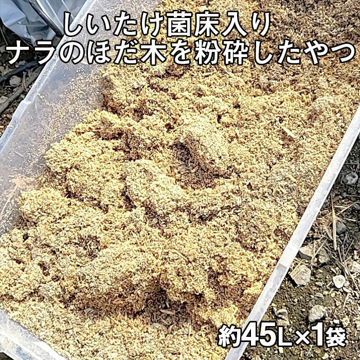 一般受け受け付け中♪円錐小体初夏の味「さくらんぼ」