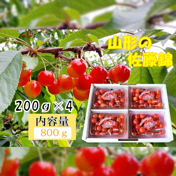 【ふるさと納税】山形産 さくらんぼ 佐藤錦 秀 L～2Lサイズ 800g(200g×4パック)  FY25-837