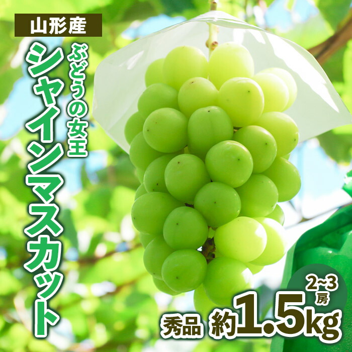 【ふるさと納税】 山形産 ぶどうの女王 シャインマスカット 秀品 約1.5kg | 産地直送 旬 fz23-479