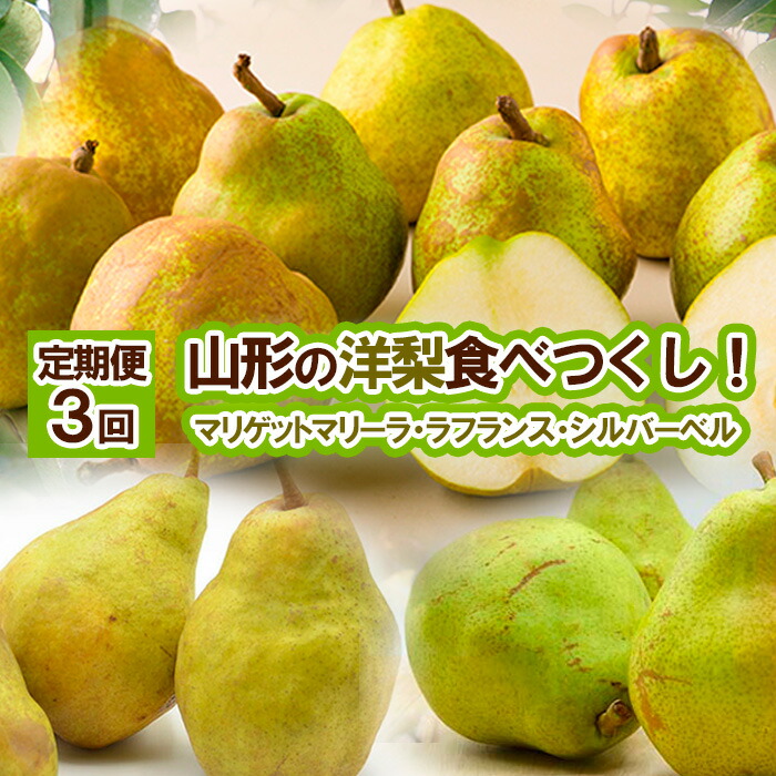【ふるさと納税】★定期便3回★山形の洋梨食べつくし！(マリゲットマリーラ・ラフランス・シルバーベル) FY25-835