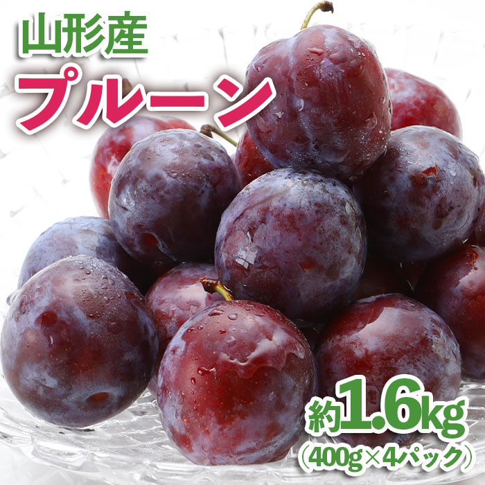 【ふるさと納税】山形産 プルーン 約1.6kg(400g×4パック) 【令和7年産先行予約】FU23-535 くだもの 果物 フルーツ 山形 山形県 山形市 2025年産