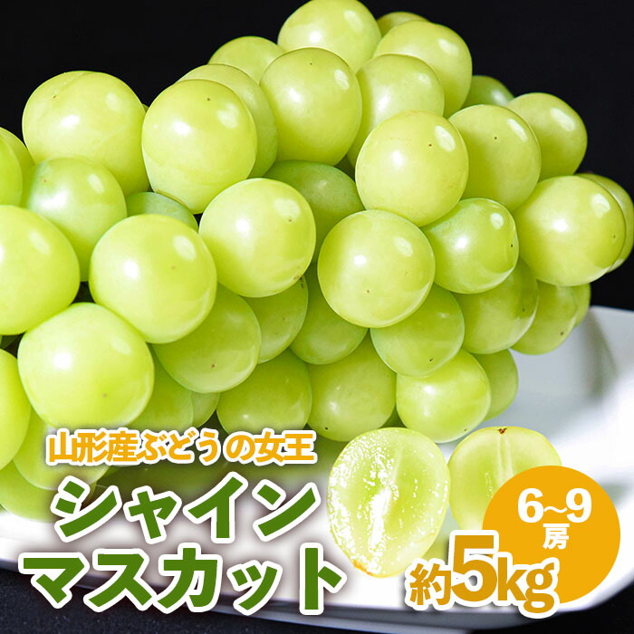 【ふるさと納税】 山形産 ぶどうの女王シャインマスカット約5kg | 産地直送 旬  FY23-540