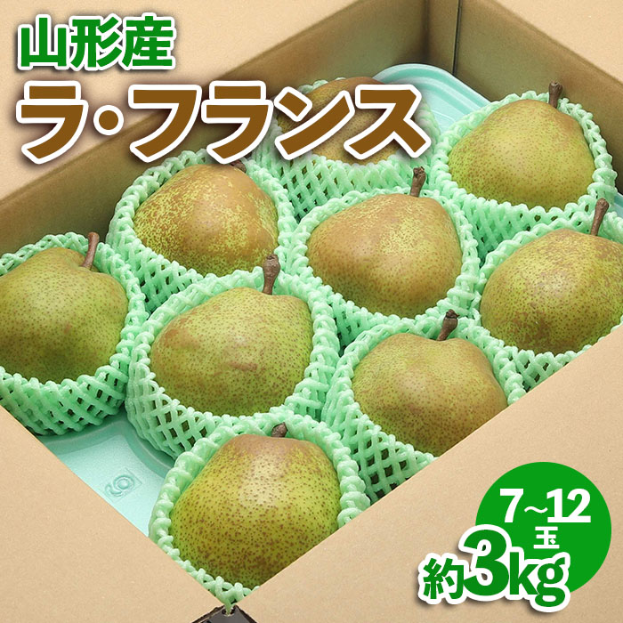 【ふるさと納税】 山形産 ラ・フランス約3kg | 産地直送 旬  fz23-541