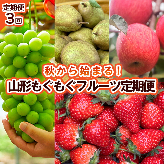 【ふるさと納税】【定期便3回】秋から始まる！山形もぐもぐフルーツ定期便 【令和8年産先行予約】FU23-926 くだもの 果物 フルーツ 山形 山形県 山形市 お取り寄せ 2026年産