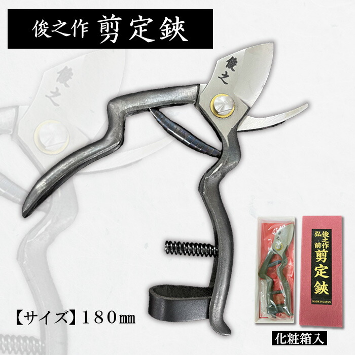 一般受け受け付け中♪円錐小体初夏の味「さくらんぼ」