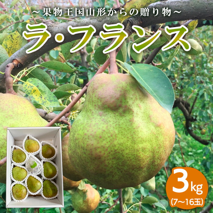 【ふるさと納税】～果物王国山形からの贈り物～ラ・フランス 秀3kg FY23-707