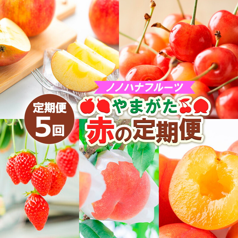 【ふるさと納税】【定期便5回】ノノハナフルーツ やまがた赤の定期便 FY25-812
