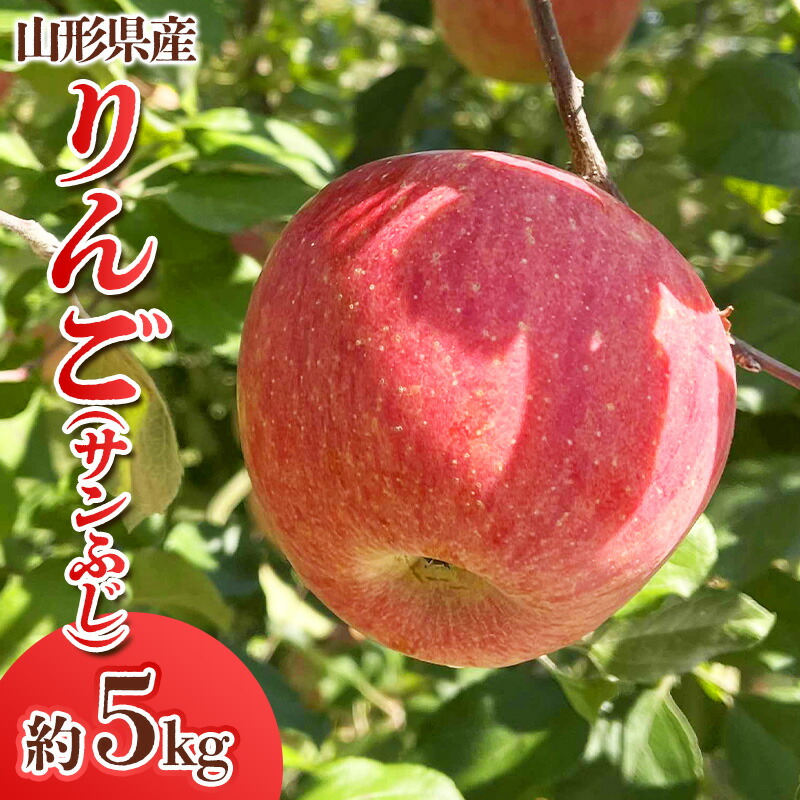 【りんご】 楽天市場】【ふるさと納税】富士りんご 秀 5kg fz18-135 リンゴ