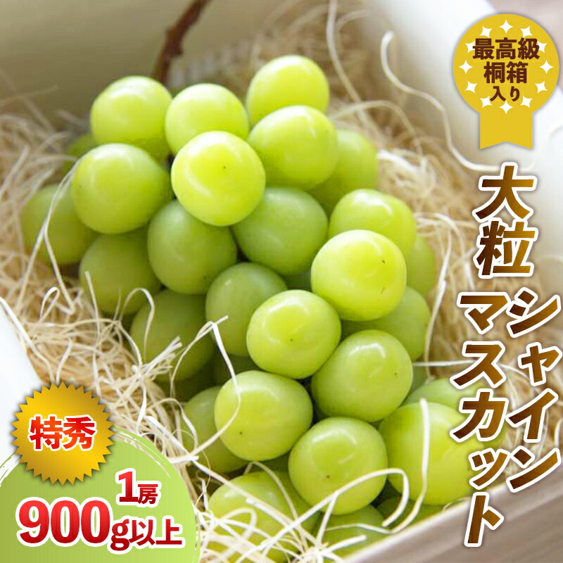 大粒特秀品 シャインマスカット 大粒特秀品 シャインマスカット