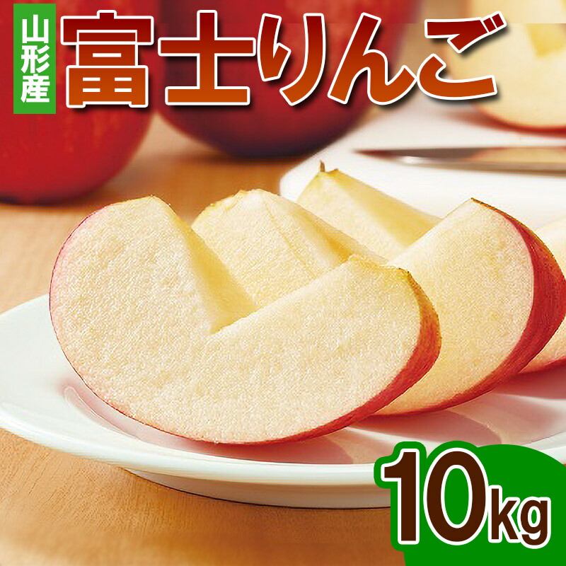 【ふるさと納税】富士りんご 秀 10kg(24玉～40玉)  FY24-073