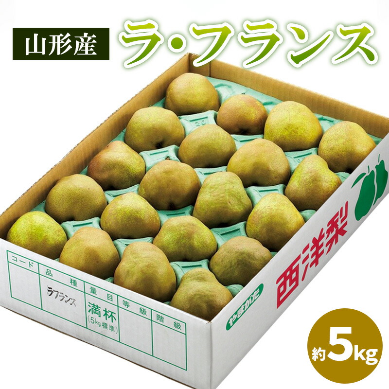 【ふるさと納税】山形のラ・フランス 秀品 約5kg(12～20個) FY25-828