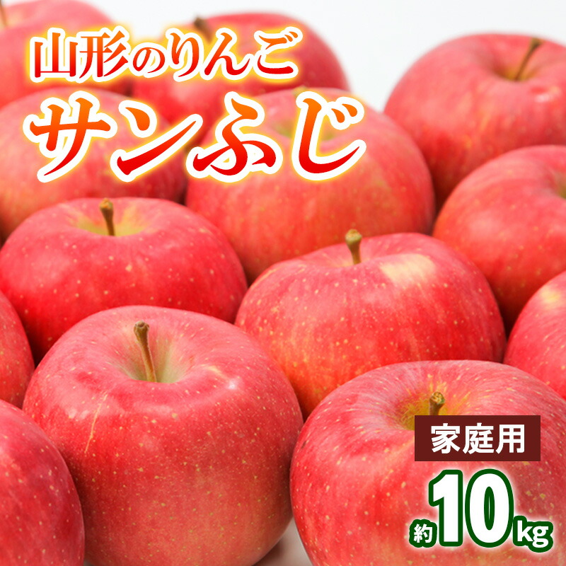 【ふるさと納税】【家庭用】山形のりんご サンふじ 約10kg(20～40個) FY25-830