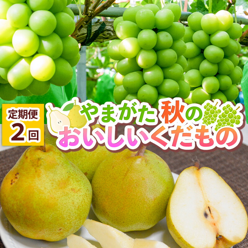【ふるさと納税】【定期便2回】 やまがた 秋のおいしいくだもの 【令和8年産先行予約】FS25-777