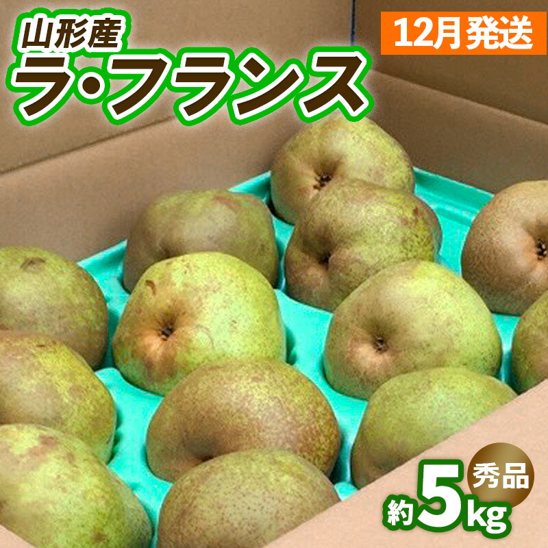 【ふるさと納税】山形のラ・フランス約5kg（10～16玉 3L～6L)[12月発送] FY25-028