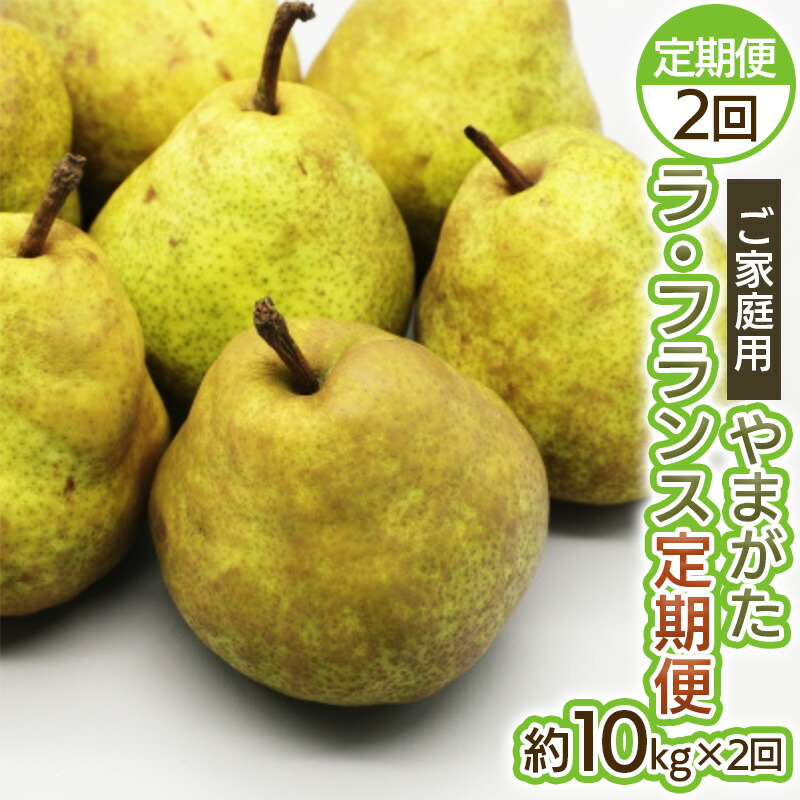 【ふるさと納税】【定期便2回】ご家庭用 やまがたラ・フランス10kg×2回 FY25-036