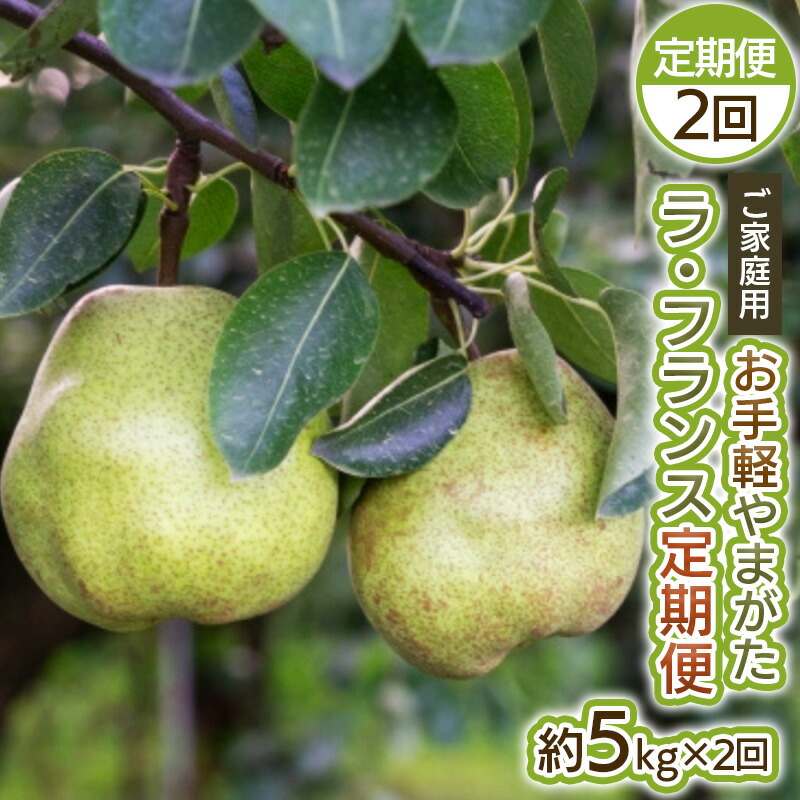 【ふるさと納税】【定期便2回】お手軽 ご家庭用 やまがたラ・フランス 5kg×2回 FY25-039