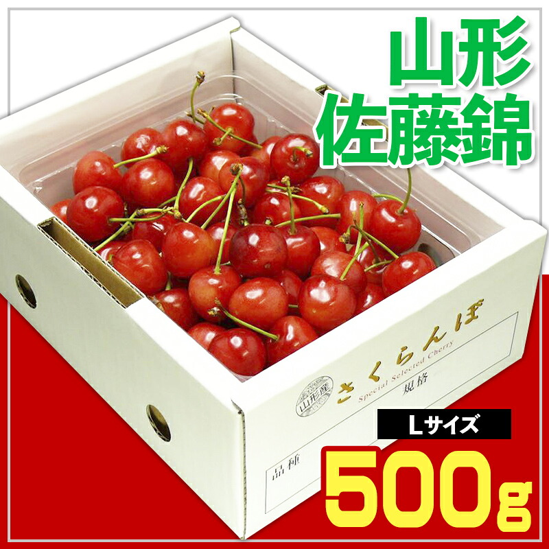 【ふるさと納税】☆山形さくらんぼ ☆ 佐藤錦 Lサイズ 500g バラ 化粧箱詰【令和8年産先行予約】FS25-540 くだもの 果物 フルーツ 山形 山形県 山形市 お取り寄せ 2026年産