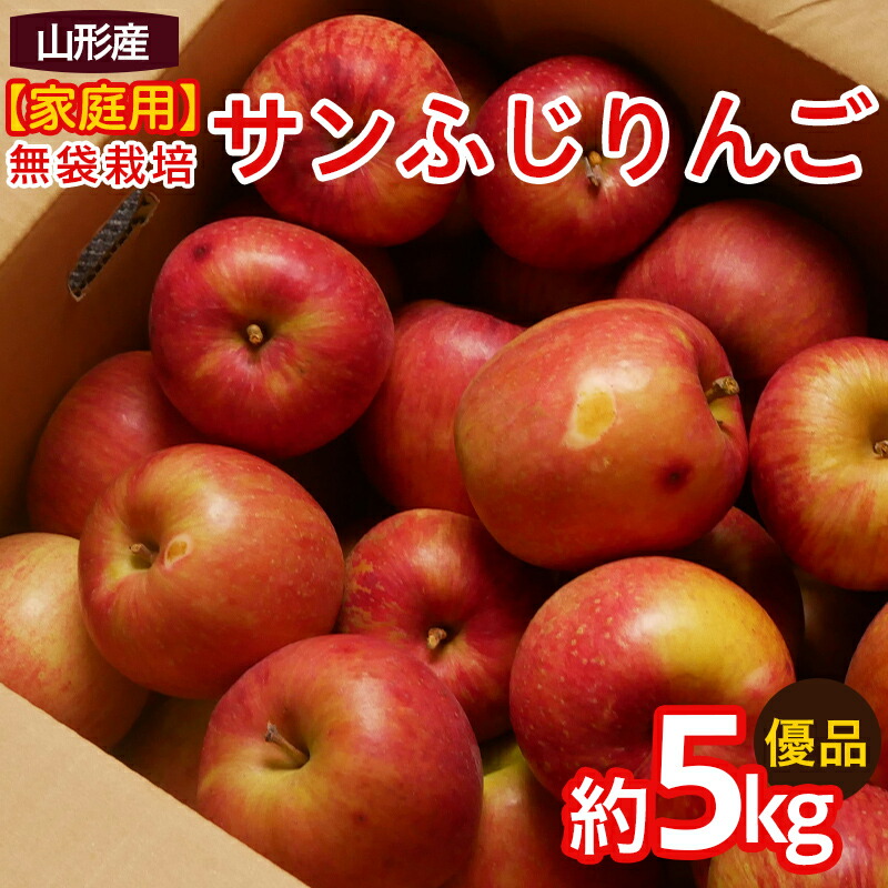 【ふるさと納税】【家庭用】ふじりんご 優品 約5kg入り FY25-066