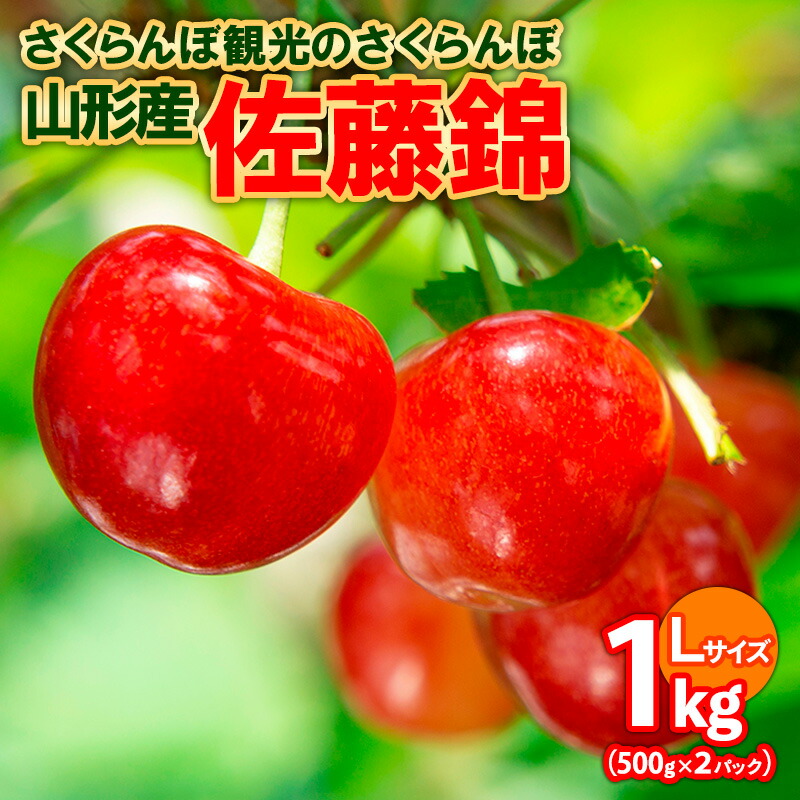【ふるさと納税】さくらんぼ観光のさくらんぼ 佐藤錦 1kg(500g×2) FY25-101