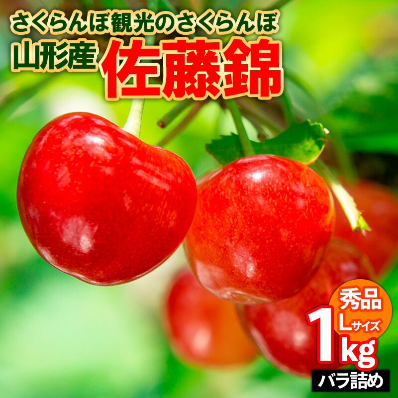 【ふるさと納税】さくらんぼ観光のさくらんぼ 佐藤錦 L 1kg バラ詰め FY25-102