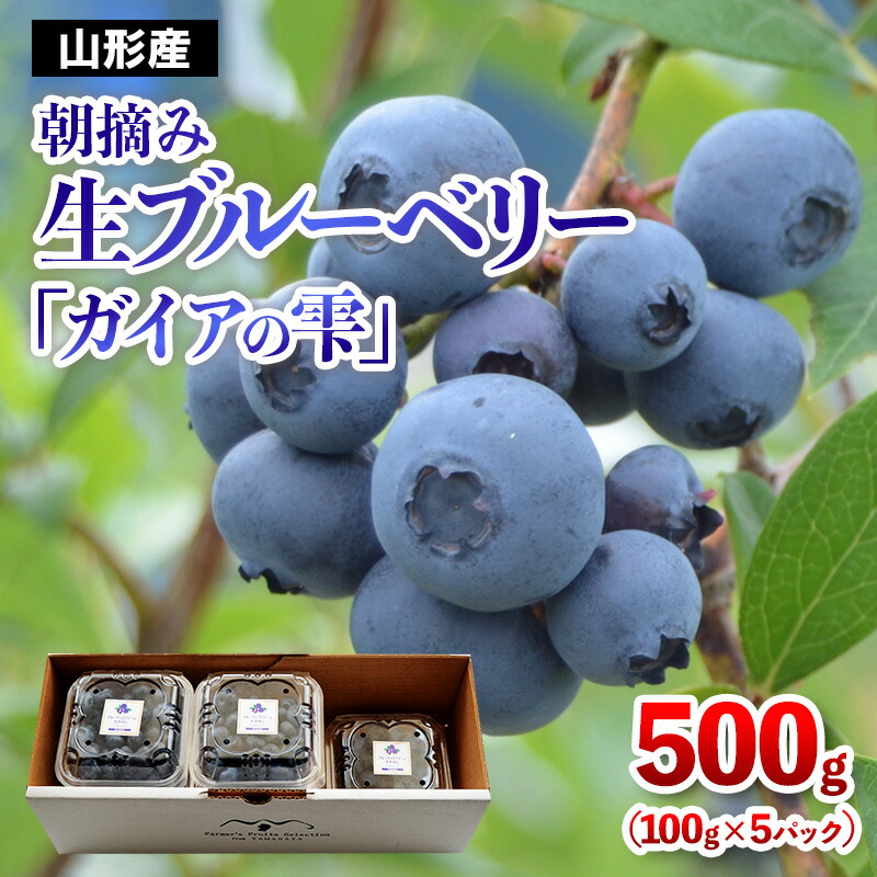 【ふるさと納税】山形の朝摘み生ブルーベリー「ガイアの雫」500g(100g×5パック) FY25-109