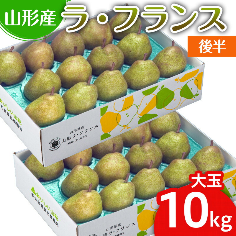 【ふるさと納税】山形のラ・フランス大玉 10kg(20～28玉) 後半 FY25-112