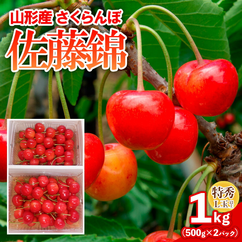【ふるさと納税】さくらんぼ 佐藤錦 1kg(500gパック×2) 特秀 L玉以上 FY25-122
