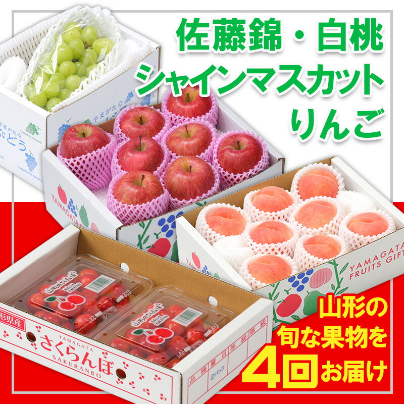 楽天市場】【ふるさと納税】【定期便4回】☆フルーツ王国山形☆『佐藤