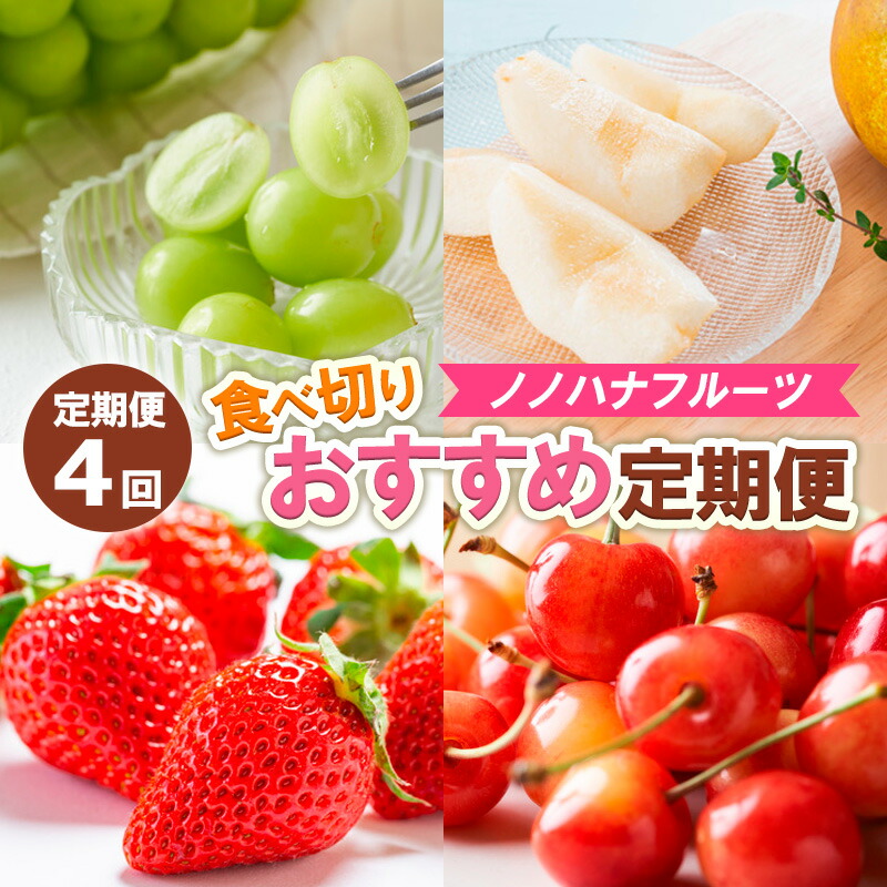 【ふるさと納税】【定期便4回】ノノハナフルーツ　食べ切りおすすめ定期便 FY25-811