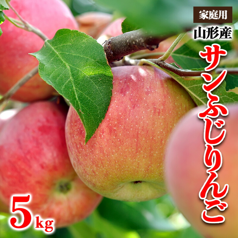 【ふるさと納税】【家庭用】山形産 サンふじりんご 優品以上 5kg FY25-817