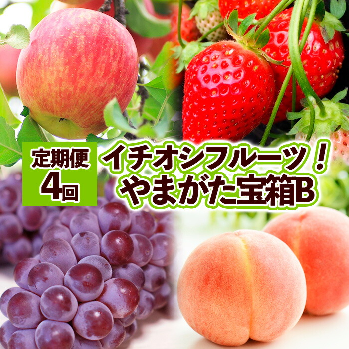 【ふるさと納税】【定期便4回】イチオシフルーツ！やまがた宝箱B  FY25-822