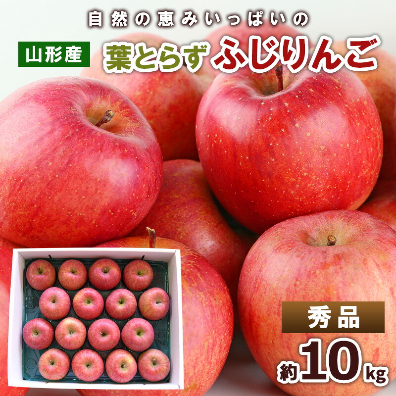 【ふるさと納税】自然の恵みいっぱいの葉とらずふじりんご 約10kg(46～50個入) FY25-922