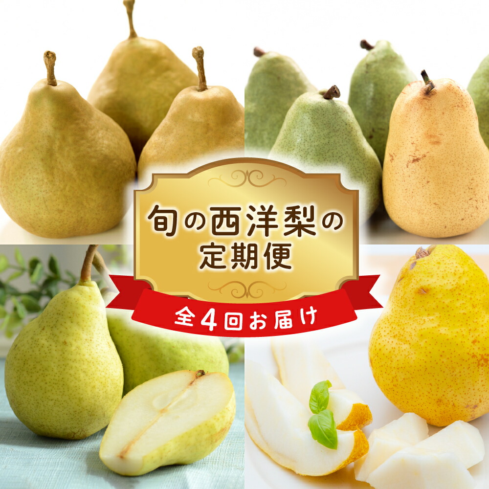 【ふるさと納税】【先行予約】【定期便】令和7年産 西洋梨の定期便 全4回配送 2025年9月～ 発送開始 西洋梨 オーロラ マリゲット・マリーラ ラ・フランス シルバーベル 各2kg 計8kg 2025年産 山形県 米沢市