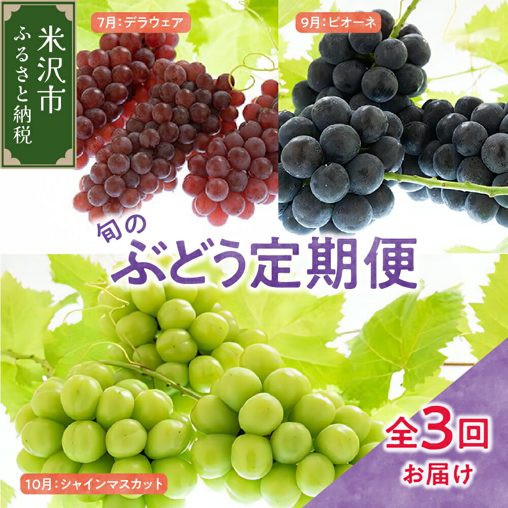 【ふるさと納税】【定期便 全3回】令和7年産 ぶどう 定期便【2025年7月下旬頃～ 発送開始】<br><br>デラウェア ピオーネ シャインマスカット 2025年産 種無し ぶどう ブドウ 葡萄 フルーツ 果物 くだもの 期間限定 数量限定 先行予約 山形産 山形県 米沢市