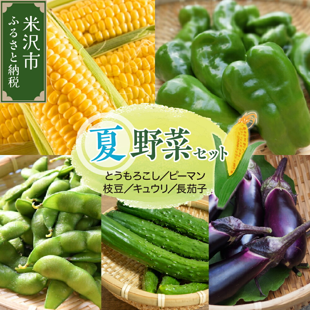 【ふるさと納税】【令和7年産 先行予約】夏野菜 セット トウモロコシ ピーマン 長茄子 キュウリ 枝豆【8月上旬～下旬頃お届け】<br><br>2025年産 旬の野菜 夏 BBQ野菜 夏の味覚 おつまみ 食べ比べ 詰め合わせ 贈答 ギフト 山形県 米沢市 夏 旬