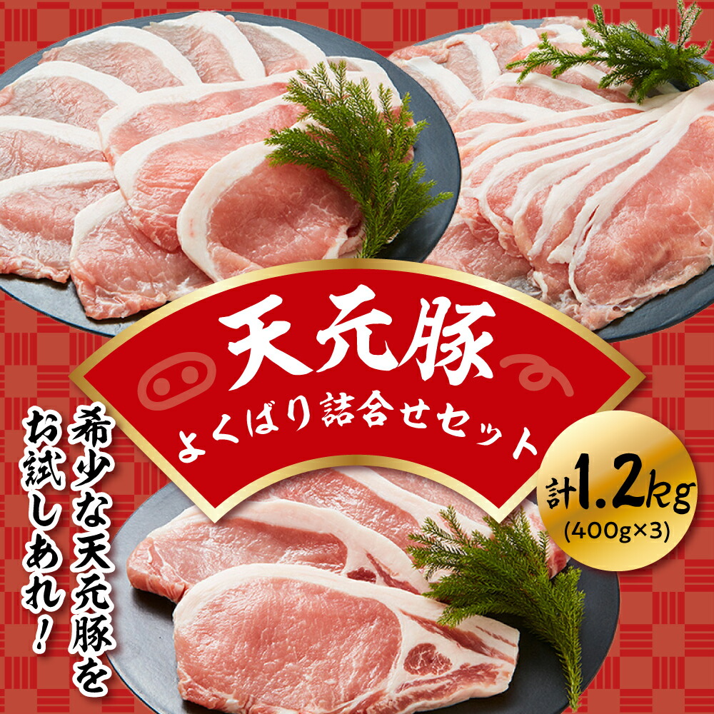 【ふるさと納税】豚肉 天元豚 よくばり 詰合せ セット しゃぶしゃぶ 焼肉 とんかつ 各400g 計1.2kg 食べ比べ ブランド豚 精肉 ポーク 山形県 米沢市