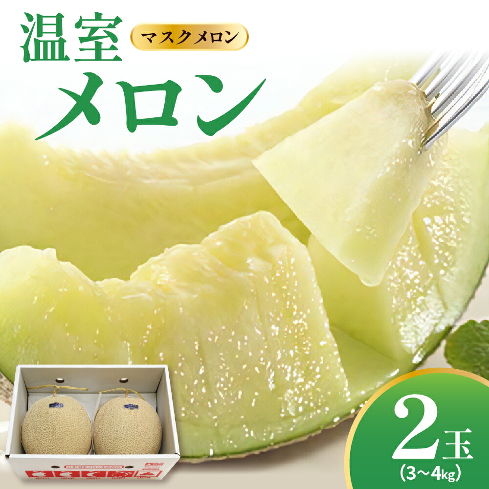 【ふるさと納税】【 先行予約 】 令和7年産 温室メロン（ マスクメロン ） 2玉 （R7年9月上旬～9月中旬頃お届け ） アールスメロン 3～4kg程度 2025年 メロン 青肉メロン 山形県 山形県産 フルーツ 果物 くだもの ふるさと納税 秋 旬 山形県 米沢市