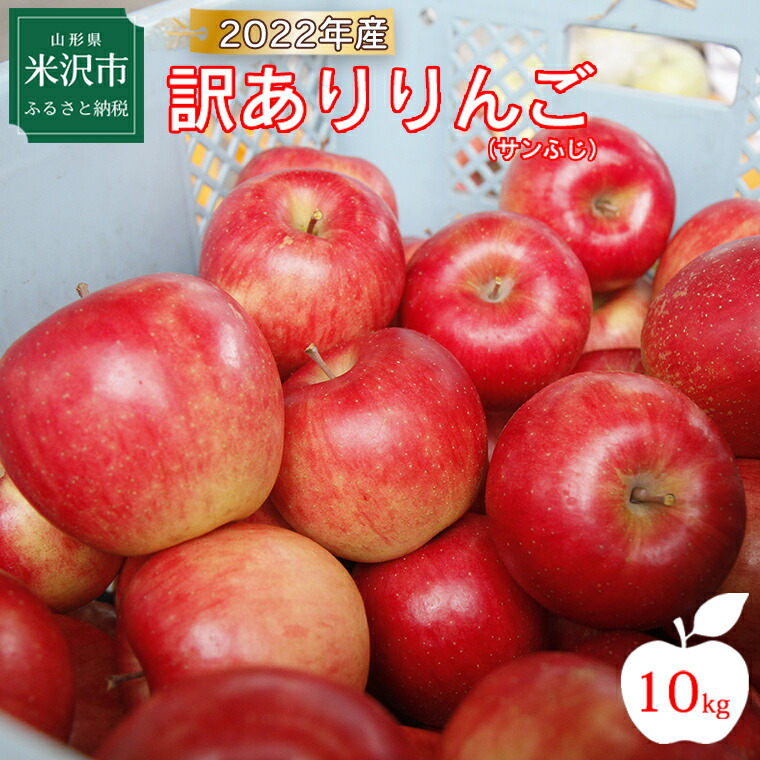 爆買い！】 《先行予約》令和4年産 訳ありりんご サンふじ 10kg 11月中旬頃〜お届け 着色不良 キズ等 訳あり りんご リンゴ 林檎 2022年産  フルーツ 果物 くだもの 山形産 山形県産 qdtek.vn