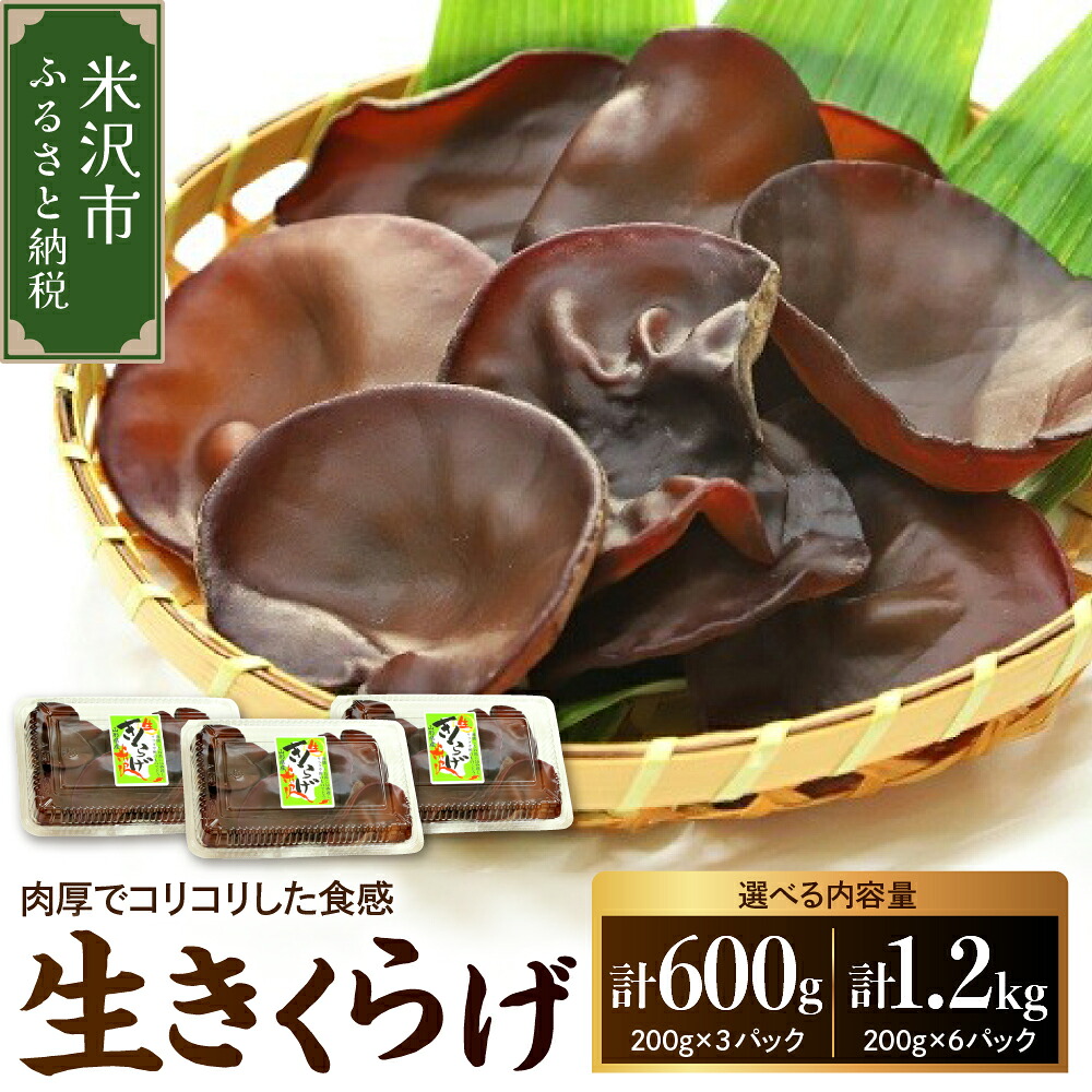 【ふるさと納税】期間限定 生きくらげ 600g または 1.2kg 2026年6月~10月中旬頃 お届け予定 国産 米沢産 生 きくらげ きのこ 冷蔵 木耳 キクラゲ 山形県 米沢市|山形県米沢市
