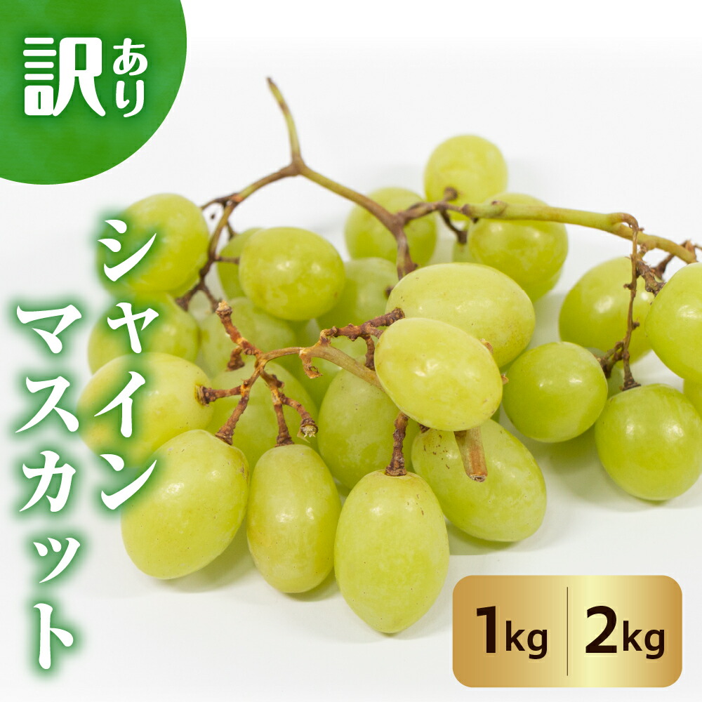 【ふるさと納税】令和7年産【 訳あり 】シャインマスカット (選べる: 1kg / 2kg ) <br><br>| 2025年産 先行予約 ぶどう 葡萄 白ぶどう 果物 くだもの フルーツ 種なし 家庭用 わけあり お取り寄せ 産地直送 山形県産 山形県 米沢市 《2025年9月中旬から配送開始》