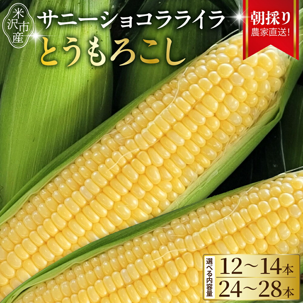 【ふるさと納税】【先行予約】 令和8年産 とうもろこし 選べる 内容量 12本 ～ 14本 または 24本 ～ 28本 サニーショコラ ライラ 2026年7月中旬～8月中旬頃お届け予定