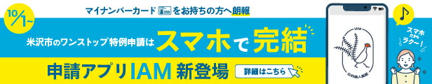 楽天市場】【ふるさと納税】万能調味料 うまいたれ 1000ml×3本 計 3L セット 醤油風 めんつゆ そばつゆ 煮物 芋煮 タレ 塩分控えめ  ギフト 山形 山形県 米沢市 お取り寄せ 送料無料 : 山形県米沢市