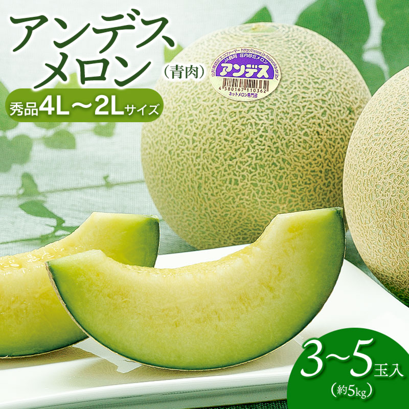 【ふるさと納税】【令和8年産先行予約】 アンデスメロン (青肉) (3～5玉) 秀品 4L～2Lサイズ　K-839 | 山形県 鶴岡市 返礼品 フルーツ 果物 くだもの お取り寄せ グルメ めろん 果実 約5kg 2026年