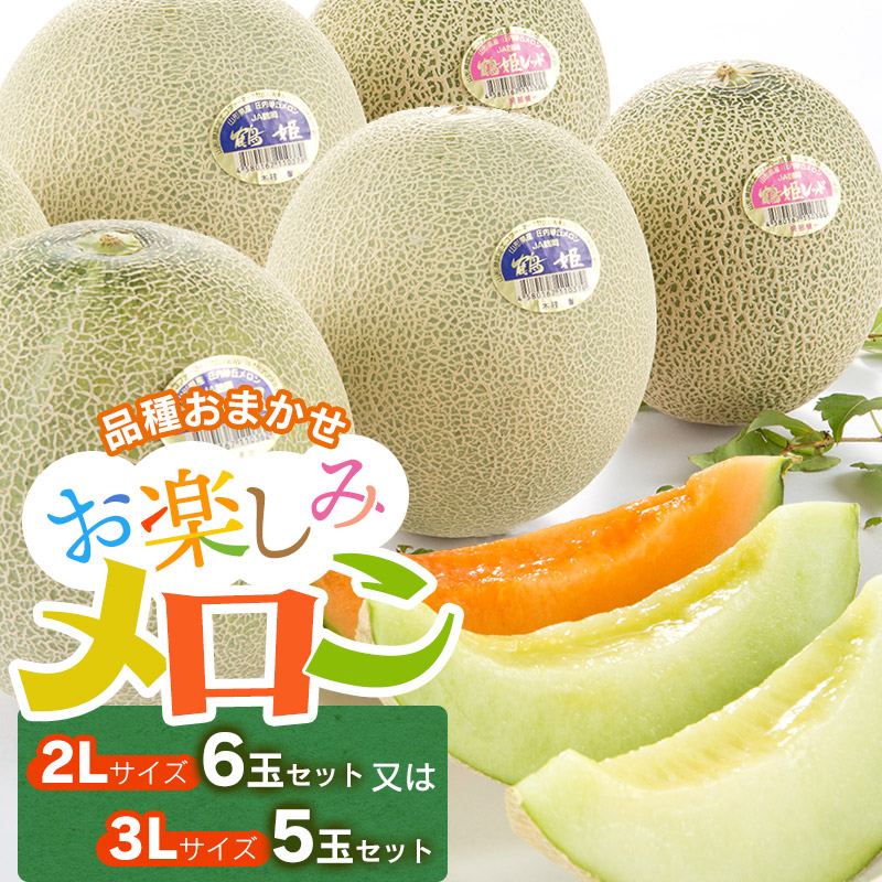 【ふるさと納税】【令和7年産先行予約】山形県 庄内産 砂丘メロン ［2L6玉セット］または［3L5玉セット］  アンデスメロン・鶴姫メロン・鶴姫レッドメロンの中から品種おまかせ K-760 | 鶴岡市 返礼品 フルーツ 果物 くだもの 取り寄せ メロン 青肉 赤肉 めろん