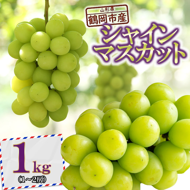 【ふるさと納税】【令和7年産先行予約】鶴岡市産シャインマスカット 約1kg（1～2房） K-733 | 山形県 鶴岡市 フルーツ 果物 くだもの ぶどう 種なし ブドウ 葡萄 お取り寄せ グルメ 自宅用 家庭用