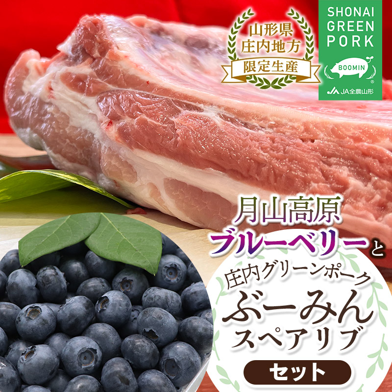 【ふるさと納税】【令和7年産先行予約】月山高原ブルーベリー（約400g×2パック）と庄内グリーンポーク 
