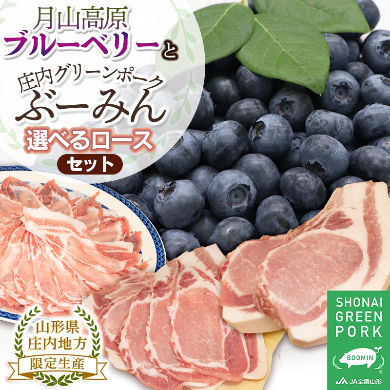 【ふるさと納税】【令和7年産先行予約】月山高原ブルーベリー（約400g×2パック）と庄内グリーンポーク