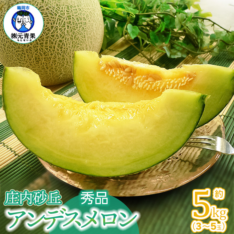 【ふるさと納税】【令和7年産先行予約】庄内砂丘 アンデスメロン 秀品 約5kg (3～5玉） 山形県鶴岡市産　元青果
