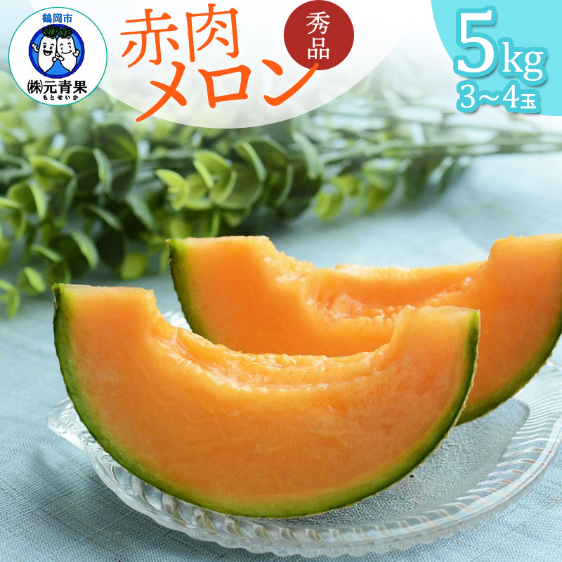 【ふるさと納税】【令和7年産先行予約】山形県鶴岡市産 庄内砂丘 赤肉メロン　秀品　約5kg（3～4玉）　元青果